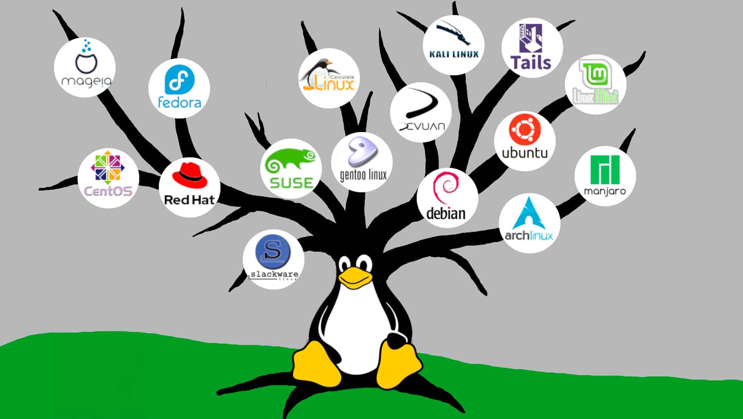 Ilustración de un árbol con un pingüino en la base y varias distribuciones de Linux como ramas, incluyendo Ubuntu, Debian, Fedora, Arch Linux, etc.
