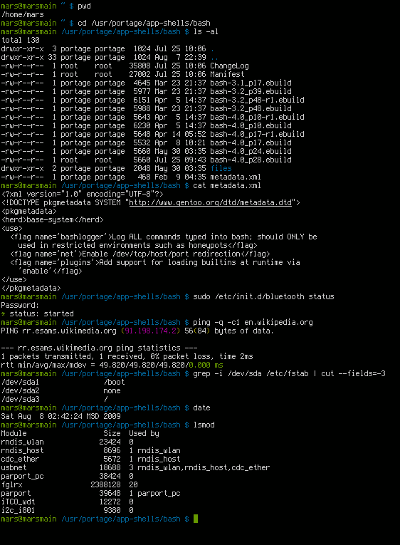 Captura de pantalla de una terminal Linux mostrando una sesión de shell bash con varios comandos ejecutados.