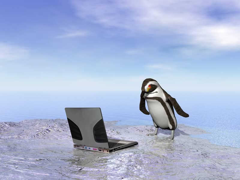 Un pingüino, similar a Tux pero con un estilo más realista, mira hacia un portátil colocado sobre una superficie helada, con el océano y un cielo nublado de fondo.