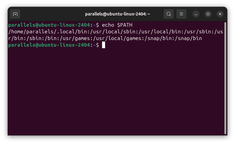 Terminal de Linux que muestra cómo comprobar la variable PATH actual usando el comando echo $PATH y su resultado.