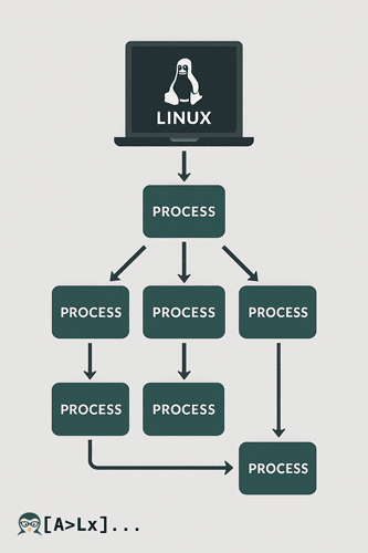 Terminal de Linux mostrando la gestión de procesos con los comandos kill y killall