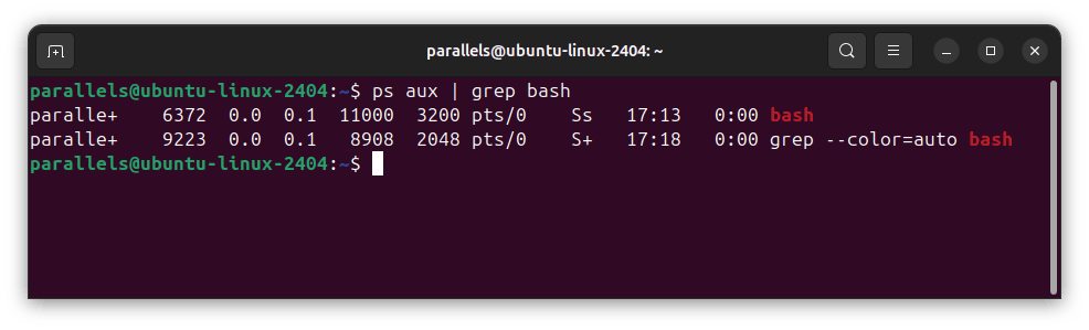 Ejemplo del comando ps aux grep para encontrar el PID de un proceso bash